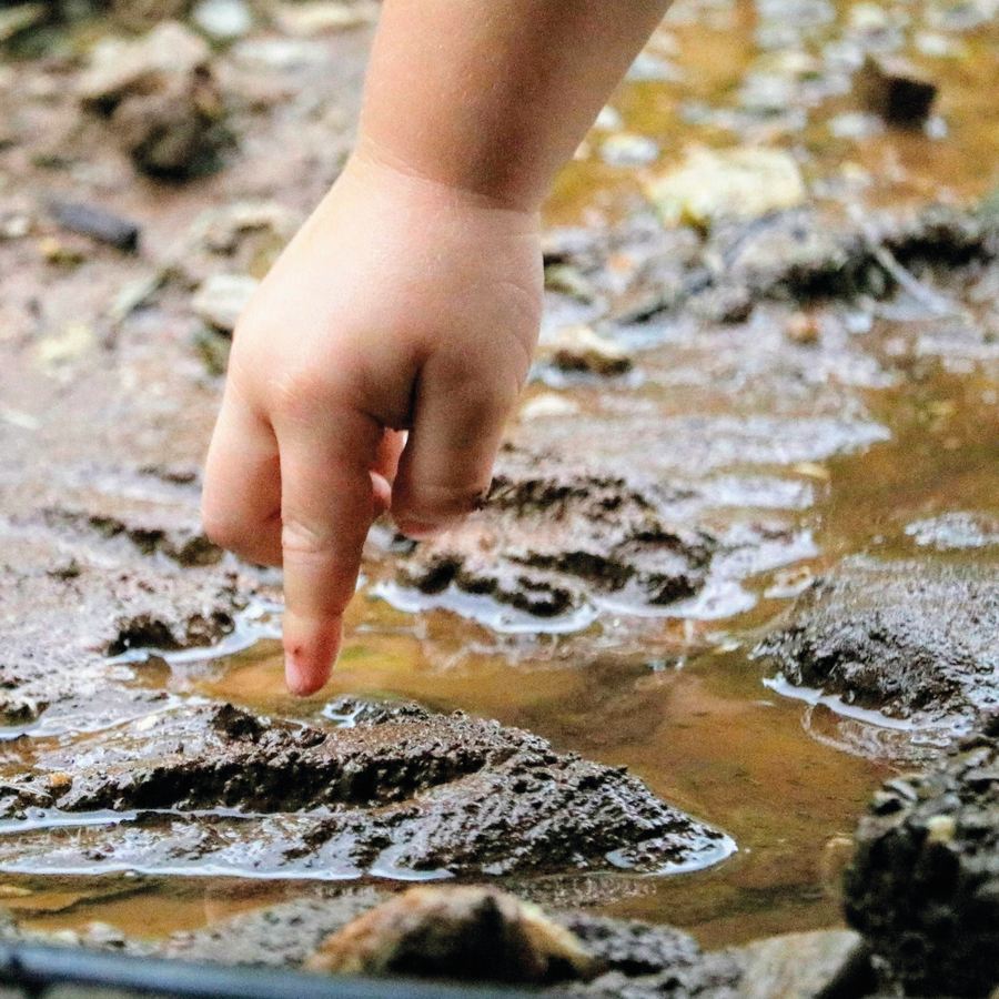 Microplastics in the Human Body: What the Science Says About Bioaccumulation